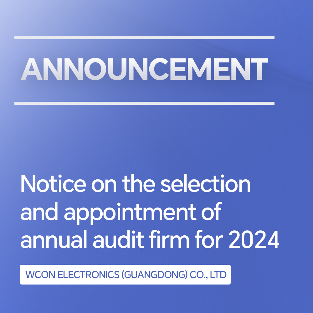 Aviso sobre la selección y nombramiento de la firma de auditoría anual para 2024