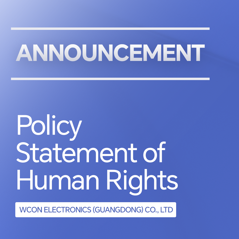 Declaración de política de derechos humanos
